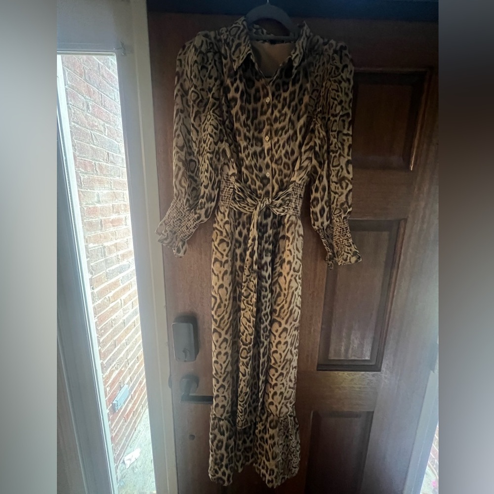 Express Leopard Dress